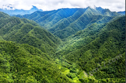 微信截图_20220307140558.png